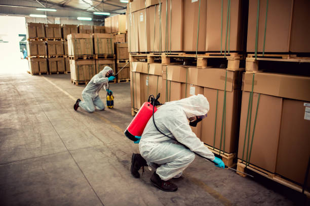 Best Mosquito Control Services  in Thompsonville, CT