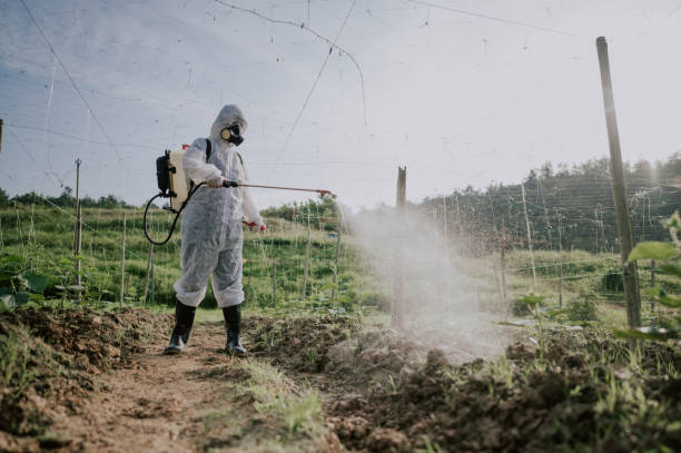 Best Ant Control Services  in Thompsonville, CT