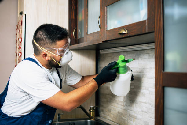 Best Pest Inspection Near Me  in Thompsonville, CT