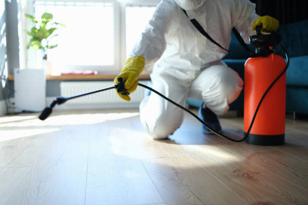 Best Emergency Pest Control  in Thompsonville, CT