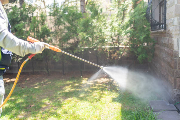 Best Rat Extermination Near Me  in Thompsonville, CT