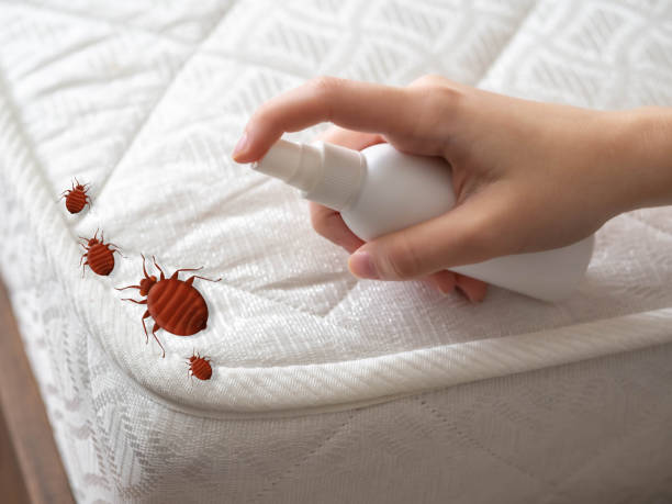 Trusted Thompsonville, CT Pest Control Experts