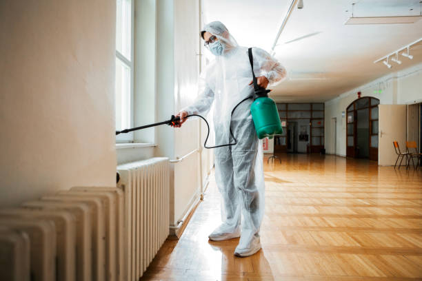 Reliable Thompsonville, CT Pest Control Solutions